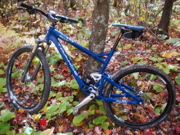 Giant Trance 1: A blue mountain bike leaning against a tree in a forest, surrounded by colorful autumn leaves on the ground.