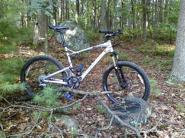 Giant Trance: A mountain bike leaning against a rock in a wooded area, surrounded by fallen leaves and branches. Lush green trees and underbrush create a natural outdoor setting.