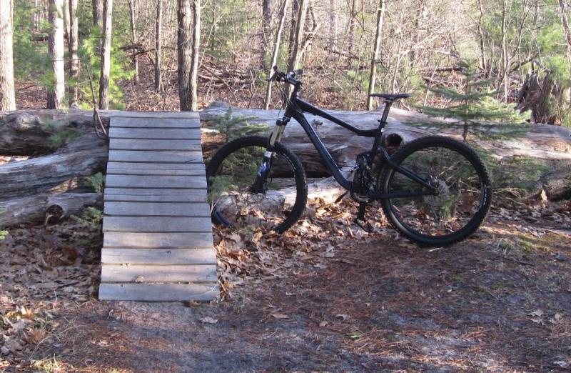 Giant Trance X2: A black mountain bike is positioned next to a wooden ramp on a forested trail, surrounded by trees and fallen leaves. The ramp leads up to a log, indicating a path for biking over natural obstacles in the woods.