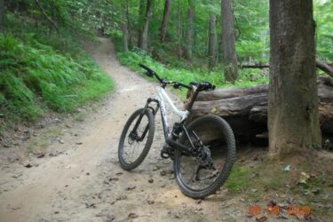 Giant Yukon FX: A mountain bike leaning against a tree on a dirt trail surrounded by lush greenery. The path curves gently into the distance, with ferns and fallen logs scattered along the edges.