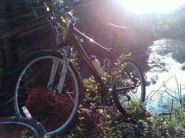 Haro Flightline 3DX: A mountain bike leaning against a tree near a calm river, with sunlight streaming through the trees, creating a warm, picturesque scene.