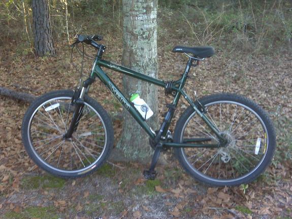 Haro Flightline Two: A green mountain bike leaning against a tree, set in a wooded area with fallen leaves and greenery in the background. The bike features black tires, a comfortable seat, and a water bottle attached to the frame.