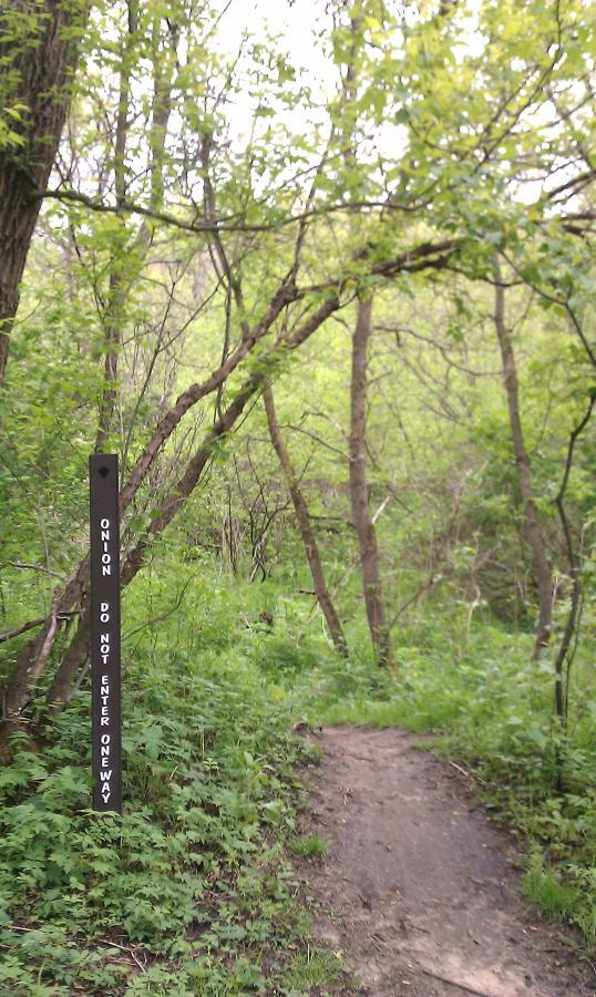 Alt text: A dense, green forest area with a narrow dirt path leading into the trees. A black sign is positioned on the left side, displaying the text "ONION DO NOT ENTER ONE WAY." The scene is filled with lush foliage and natural light filtering through the leaves. Lowes Creek mountain bike trail.