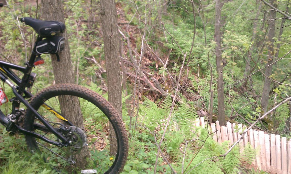 A mountain bike leaning against a tree in a lush green forest. In the background, there are ferns and wooden planks forming a pathway visible among the trees. The scene captures a serene outdoor setting ideal for biking enthusiasts. Lowes Creek mountain bike trail.