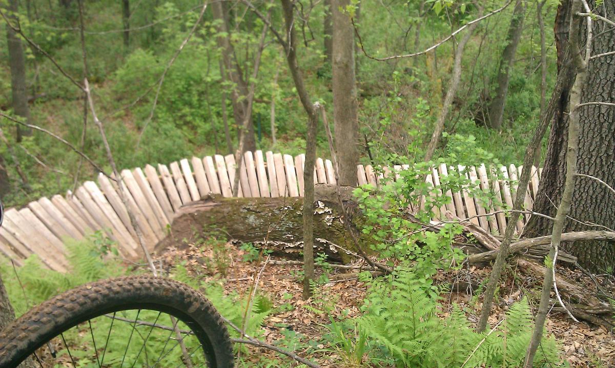 A view of a wooden biking trail winding through a lush green forest, with a partially visible mountain bike tire in the foreground. The trail features a banked curve made from wooden planks, surrounded by trees and ferns. Lowes Creek mountain bike trail.