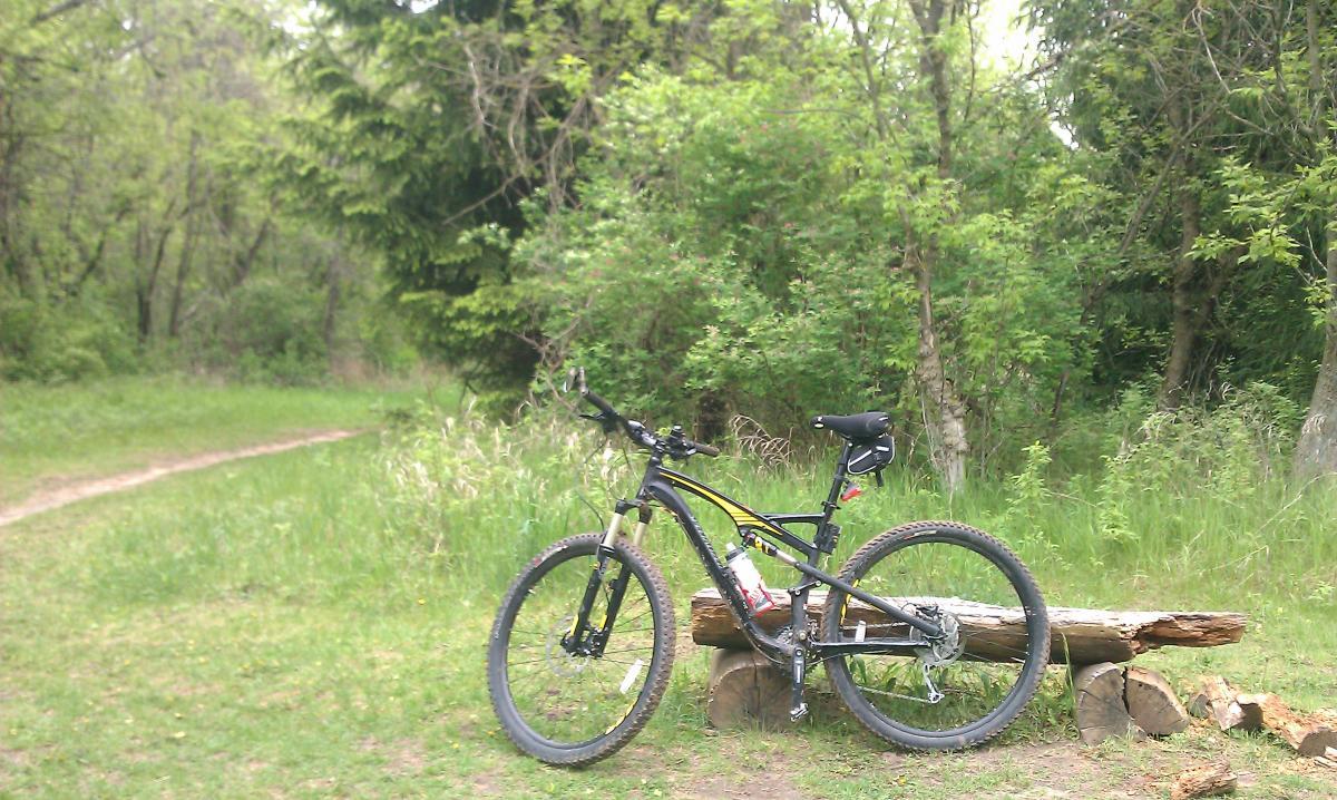 A mountain bike rests on a log in a lush green forest during spring, with a dirt path winding through the background. Lowes Creek mountain bike trail.