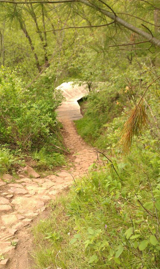 A winding dirt path surrounded by lush green vegetation, leading towards a wooden bridge in a serene natural setting. Lowes Creek mountain bike trail.