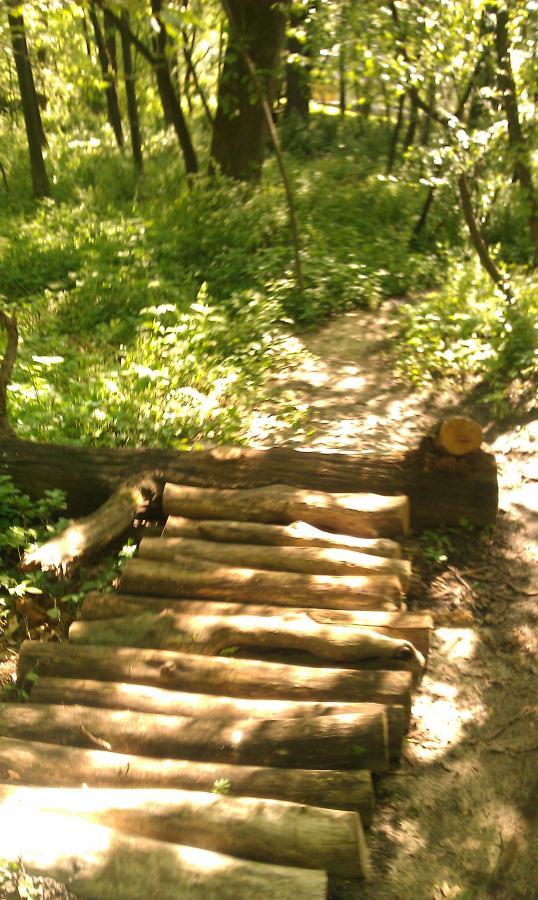 A narrow pathway in a lush, green forest, featuring a makeshift wooden bridge made from logs. Sunlight filters through the trees, casting dappled shadows on the ground, which is covered in grass and leaves. The surrounding vegetation includes various plants, enhancing the natural setting. Beverly Park mountain bike trail.