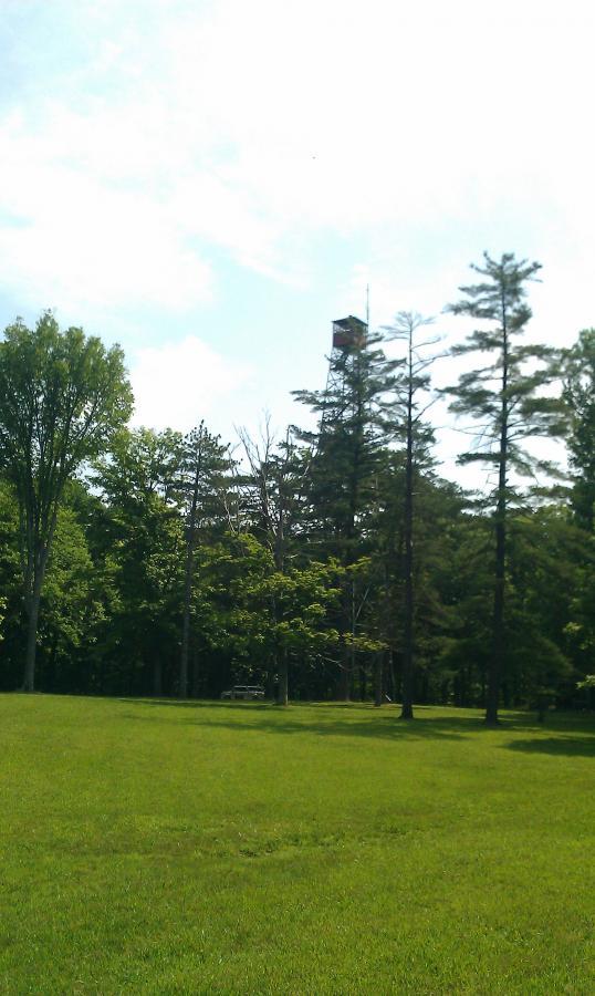 A grassy field with a mix of tall trees against a clear blue sky, featuring a building in the background partially obscured by the trees. O'bannon Woods mountain bike trail.