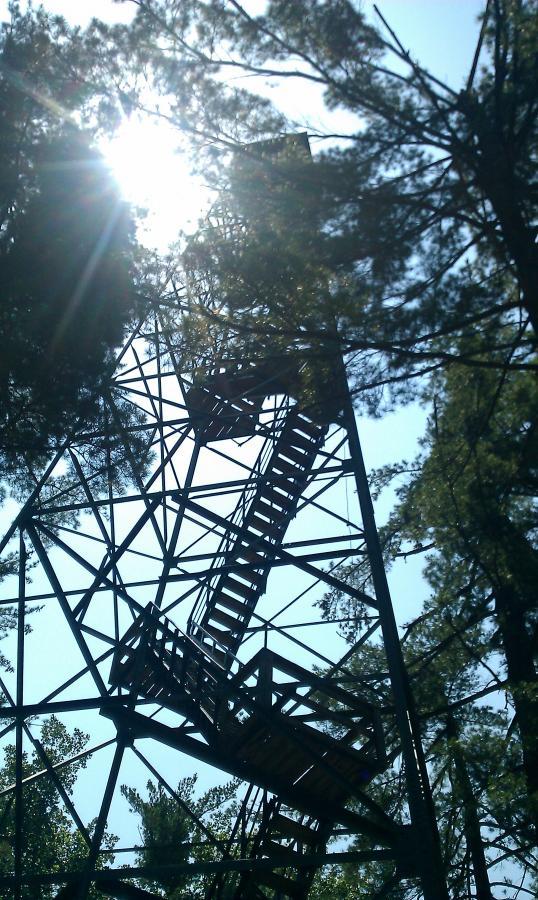 Alt text: A tall, metal fire tower surrounded by trees, with visible stairs leading upwards, illuminated by sunlight filtering through the branches above. O'bannon Woods mountain bike trail.