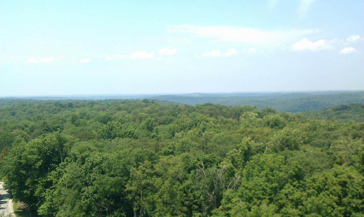 A panoramic view of a dense, green forest under a clear blue sky, with soft clouds scattered across the horizon. The landscape features rolling hills and a vast expanse of treetops, showcasing the natural beauty of the area. O'bannon Woods mountain bike trail.