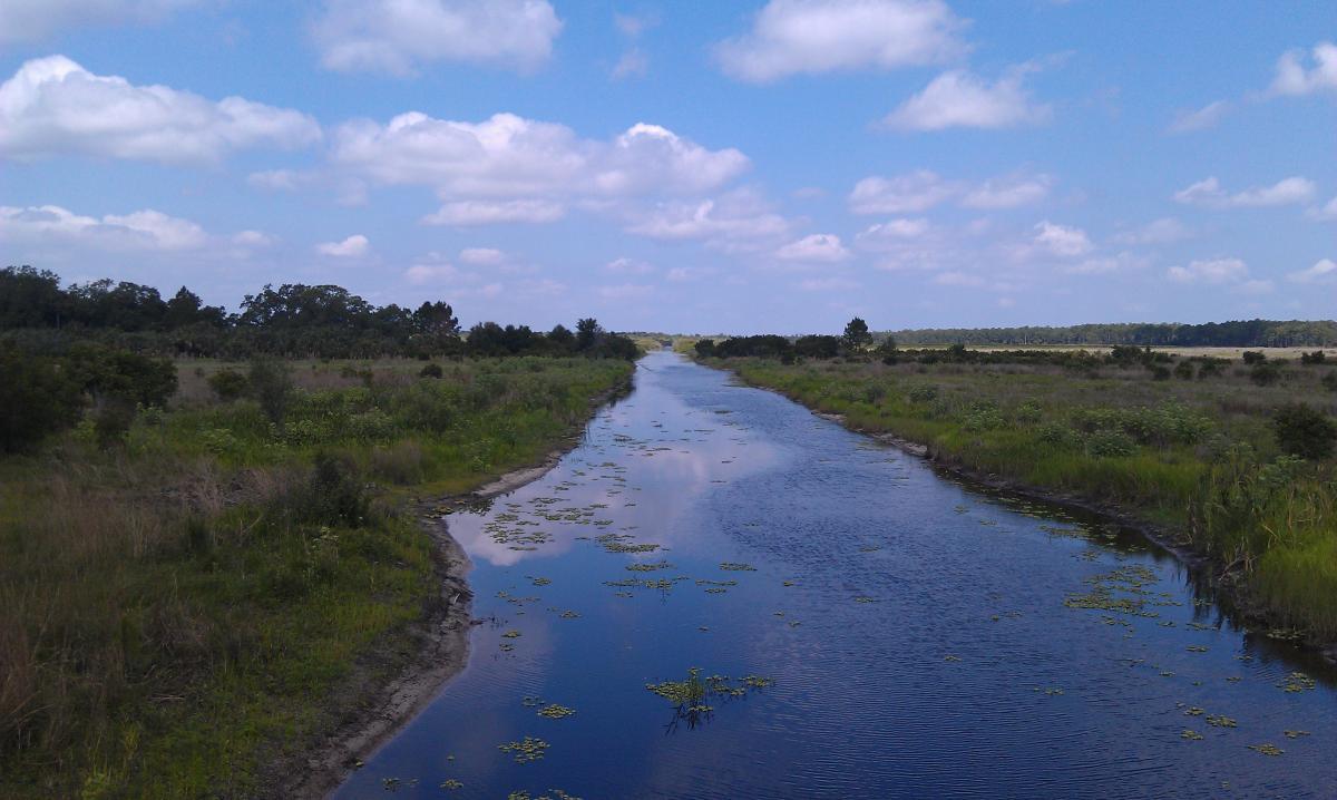 A peaceful landscape featuring a gently flowing river surrounded by lush green vegetation and open fields under a blue sky with scattered clouds. The river reflects the sky and shows patches of water lilies on its surface. Lake Kissimmee State Park mountain bike trail.