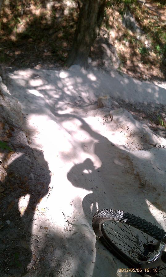 A mountain bike positioned on a sandy trail surrounded by trees, with shadows cast on the ground, indicating sunlight filtering through the foliage. Alafia River State Park mountain bike trail.