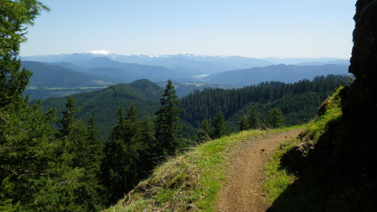 A scenic view from a mountain trail overlooking lush green hills and distant blue mountains under a clear blue sky. A winding dirt path leads through the foreground, inviting exploration of the beautiful natural landscape. Alpine Trail mountain bike trail.
