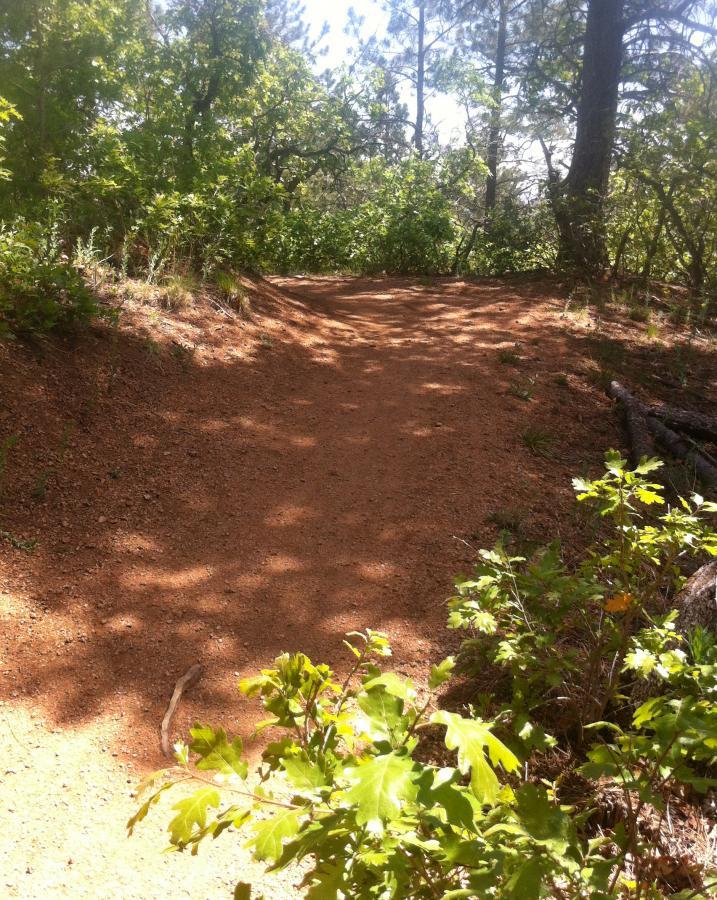 A sunlit dirt trail winding through a lush green forest, surrounded by trees and plants. The path is slightly incline, leading into the woods, with scattered shadows on the ground. Stratton Open Space / The Chutes mountain bike trail.