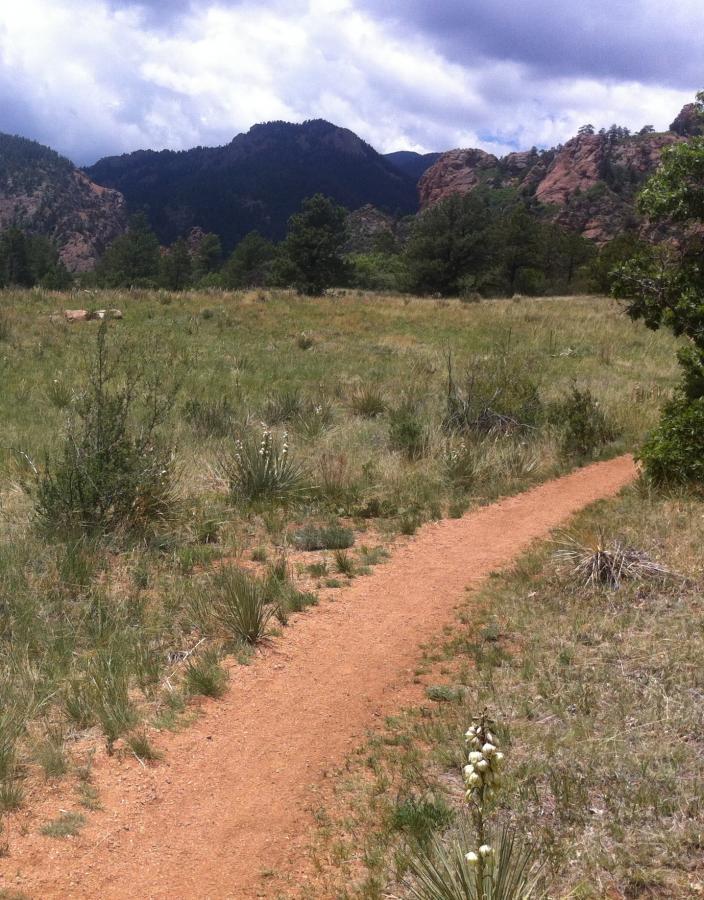 A dirt pathway winding through a grassy field, bordered by shrubs and small plants, with rocky mountains rising in the background under a partly cloudy sky. Stratton Open Space / The Chutes mountain bike trail.