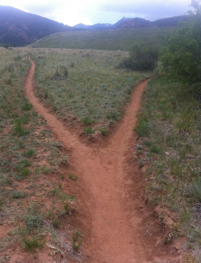 A dirt trail forks into two paths in a grassy area, surrounded by low vegetation and distant mountains under a cloudy sky. Stratton Open Space / The Chutes mountain bike trail.