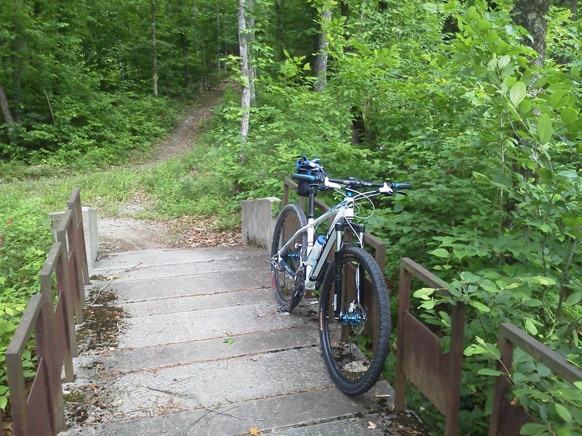 A mountain bike parked on a wooden bridge surrounded by lush green foliage, with a dirt trail leading into the woods in the background. Arrowhead Park mountain bike trail.