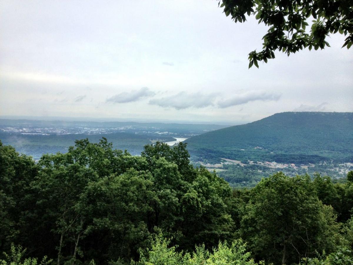 A panoramic view of lush green mountains under a cloudy sky, with a valley below featuring a river and a small town in the distance. The foreground is filled with dense tree foliage, adding depth to the landscape. Raccoon Mountain Trail Network mountain bike trail.