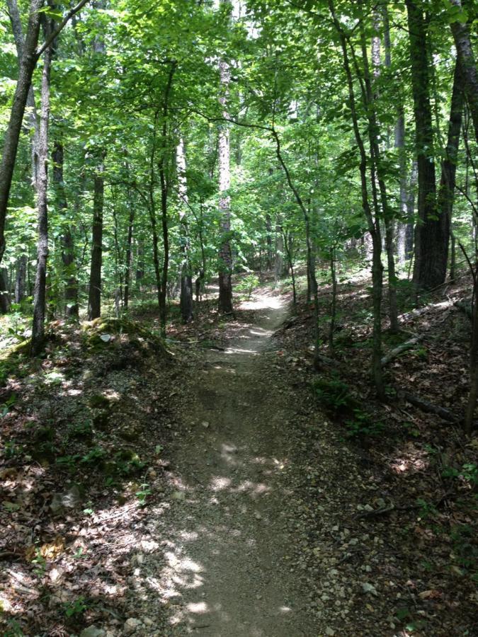 A winding dirt path through a lush, green forest, surrounded by tall trees and dappled sunlight filtering through the leaves. The trail curves gently, inviting exploration amid the natural scenery. Enterprise South mountain bike trail.