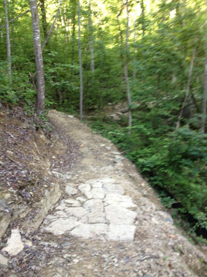 A winding dirt trail with stone paving leads through a lush green forest, surrounded by tall trees and thick underbrush. The path is bordered by a rocky slope, suggesting a natural landscape ideal for hiking and outdoor exploration. Raccoon Mountain Trail Network mountain bike trail.