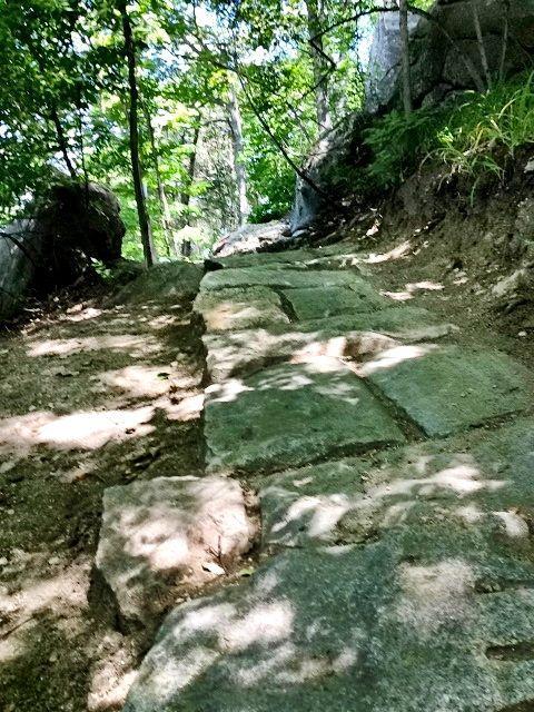 A rocky trail path winding through a forest, lined with trees and sunlight filtering through the leaves. The path is made of uneven stone slabs and is surrounded by dirt and greenery. Northbank Trail mountain bike trail.