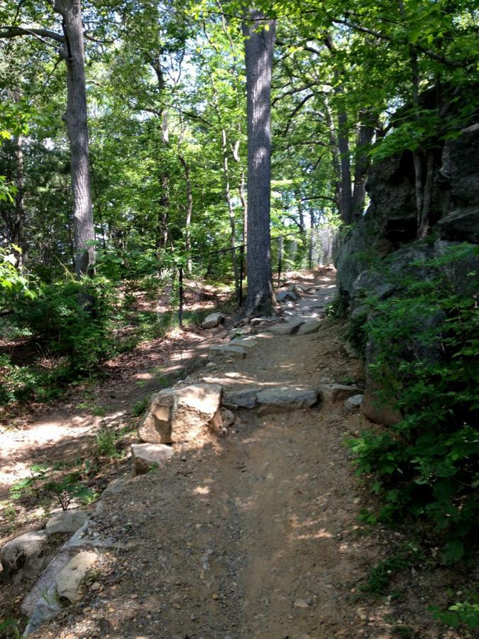 A winding dirt path surrounded by dense greenery and tall trees, leading through a forested area with rocky outcrops. Sunlight filters through the leaves, creating a serene and natural atmosphere. Northbank Trail mountain bike trail.