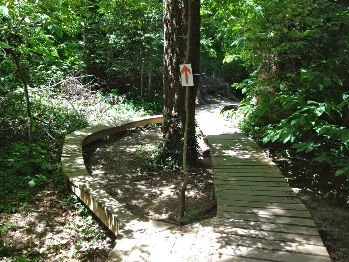 A wooden pathway winding through a lush green forest, with sunlight filtering through the trees. An arrow sign points along the trail, indicating the direction for pedestrians. Twisted branches and dense foliage are visible on either side of the path. Buttermilk mountain bike trail.
