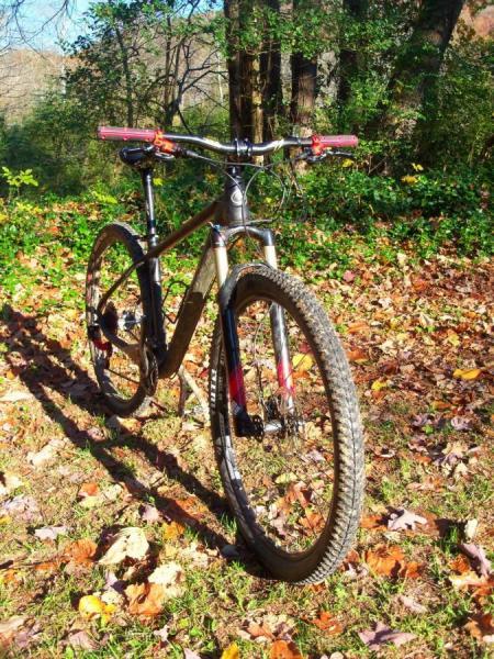Ibex Maroc 29: A mountain bike parked on a grassy area covered with autumn leaves, surrounded by trees. The bike features a sleek design with black and red accents, wide tires, and handlebar grips. Sunlight filters through the foliage, creating a warm, natural ambiance.