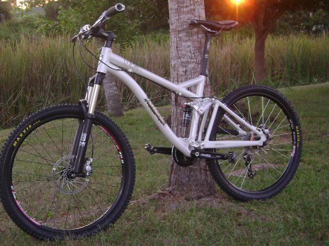 A silver mountain bike leaning against a tree, set in a grassy area with tall plants in the background. The bike features a dual-suspension design and thick tires, with a sunset casting a warm glow in the scene.