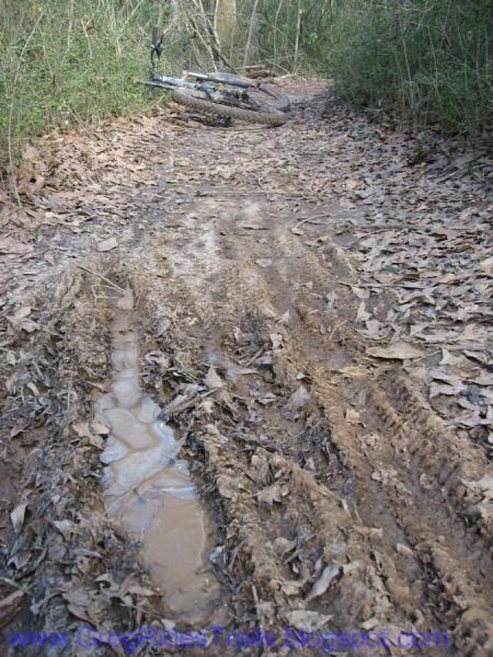 Jamis Dakar XLT: A muddy trail covered with dried leaves, featuring visible tire tracks and a small puddle of water. A bicycle is leaned against the foliage in the background.