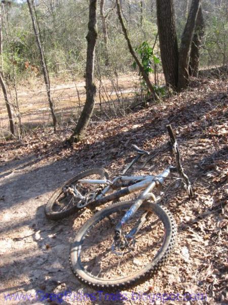 Jamis Dakar XLT: A mountain bike lying on its side on a dirt trail, surrounded by trees and fallen leaves, indicating an outdoor setting.