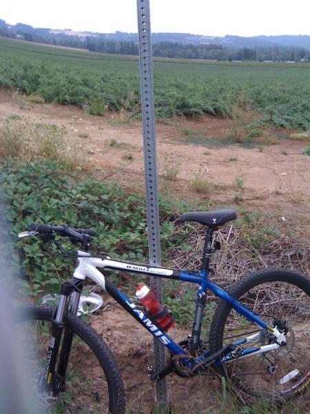 Jamis Dakota Sport: A blue and white mountain bike rests against a vertical sign post in a rural area, with green fields stretching into the distance under an overcast sky. The ground is uneven and has patches of grass and dirt visible.