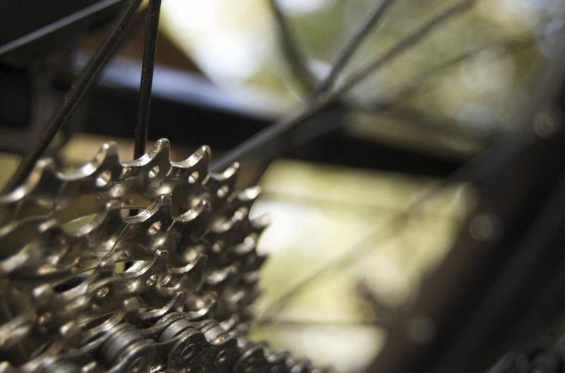 KHS XCT 555: Close-up view of a bicycle cassette and chain, showcasing the intricate details of the gear teeth and links. The background is softly blurred, highlighting the metallic components in natural lighting.