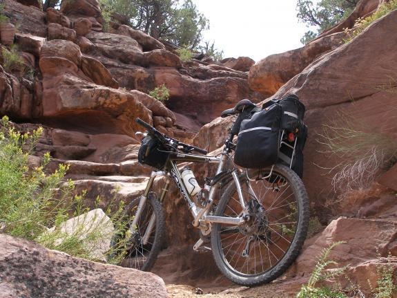 Kona Dawg: A mountain bike resting against a rocky terrain with shrubs in the foreground, showcasing its black panniers and rugged tires amidst a natural landscape.
