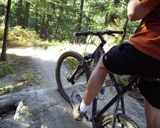 Kona Hoss: Person sitting on a mountain bike at the edge of a dirt trail in a forested area, with trees and foliage in the background.