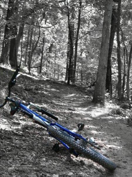 A blue mountain bike lies on its side along a dirt path surrounded by trees in a forested area. The image features a selective color effect, highlighting the bike while the background appears in grayscale.