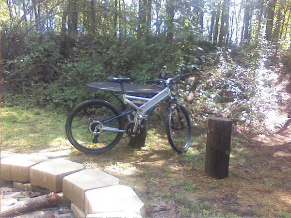 Mongoose Blackcomb: A silver mountain bike parked beside a stump in a wooded area, with a circular arrangement of stone blocks in the foreground. The scene is illuminated by sunlight filtering through the trees.