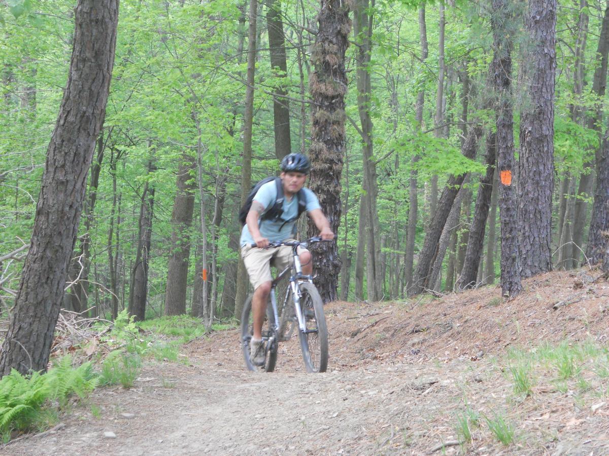 A person riding a mountain bike along a dirt trail in a lush, green forest. The cyclist is wearing a helmet and is dressed in casual outdoor clothing. Tall trees and ferns surround the path, with a few orange markers visible on the trees. North Park mountain bike trail.
