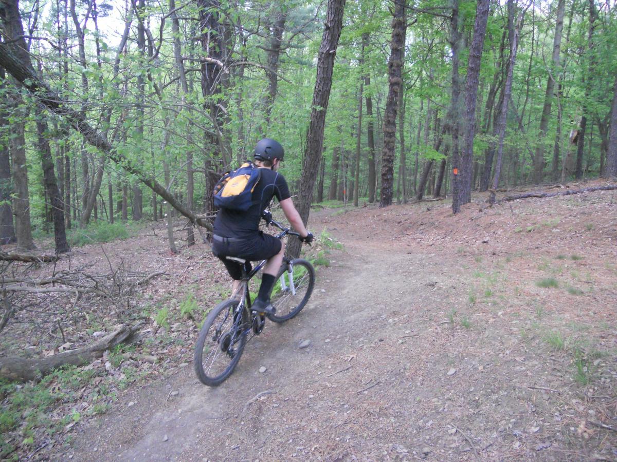 A person riding a mountain bike along a dirt trail through a lush, green forest, surrounded by trees and foliage. The rider is wearing a helmet and a black shirt with a small backpack, navigating a winding path. North Park mountain bike trail.