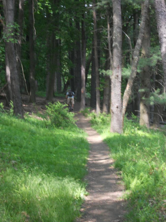 A narrow dirt path lined with green grass and surrounded by tall trees in a wooded area. A person can be seen walking along the trail, navigating through the lush, shaded landscape. North Park mountain bike trail.