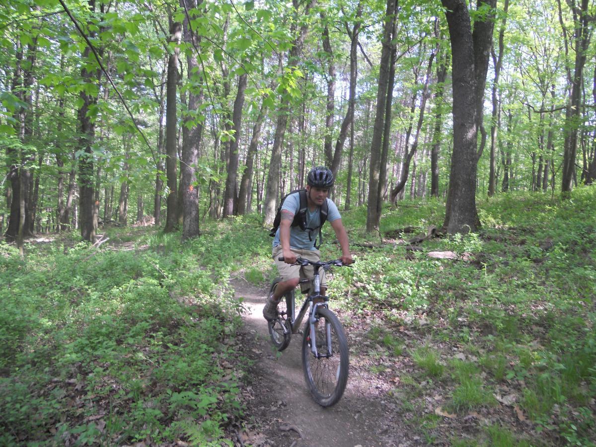 A person riding a mountain bike on a dirt trail surrounded by lush green trees and foliage in a forest. The cyclist is wearing a helmet and a backpack, enjoying a sunny day outdoors. North Park mountain bike trail.