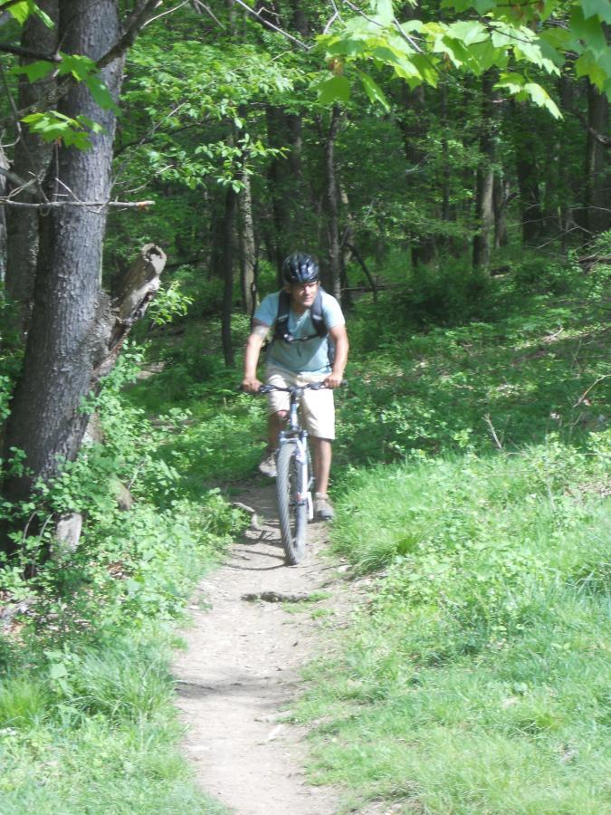 A person riding a mountain bike on a narrow trail surrounded by lush green trees and foliage on a sunny day. North Park mountain bike trail.