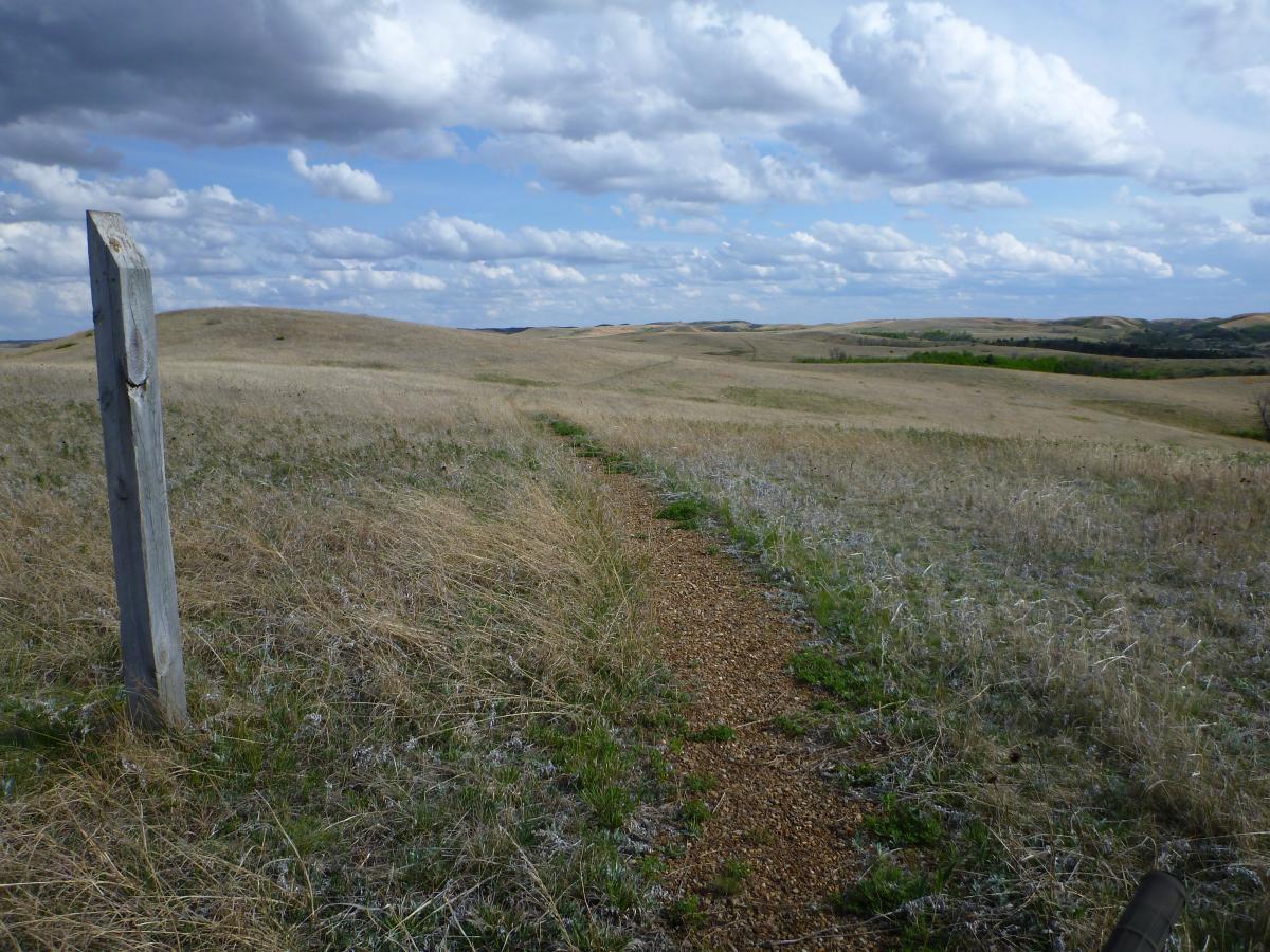 A winding dirt path leads through a grassy landscape dotted with gentle hills under a partly cloudy sky. A weathered wooden post stands along the trail, indicating the direction or boundary in this serene, rural setting. Maah Daah Hey mountain bike trail.