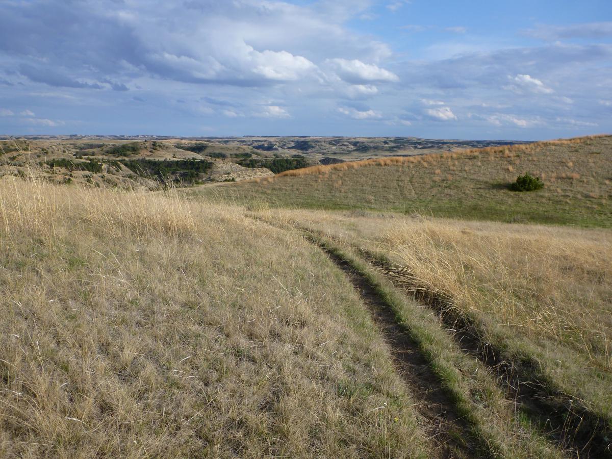 A scenic view of rolling hills covered with dry grass under a partly cloudy sky. A narrow dirt path winds through the landscape, leading towards the horizon where layered hills and patches of greenery are visible. Maah Daah Hey mountain bike trail.