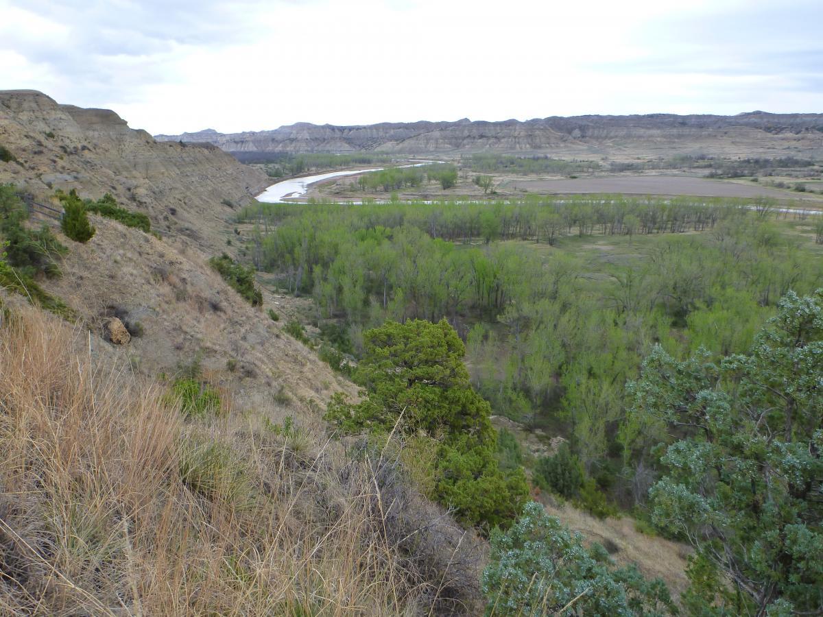 A scenic view of a winding river surrounded by green vegetation, with rugged hills and mountains in the background. The foreground features dry grass and shrubs, leading to a slope that descends towards the riverbank. The sky is overcast, adding a moody atmosphere to the landscape. Maah Daah Hey mountain bike trail.