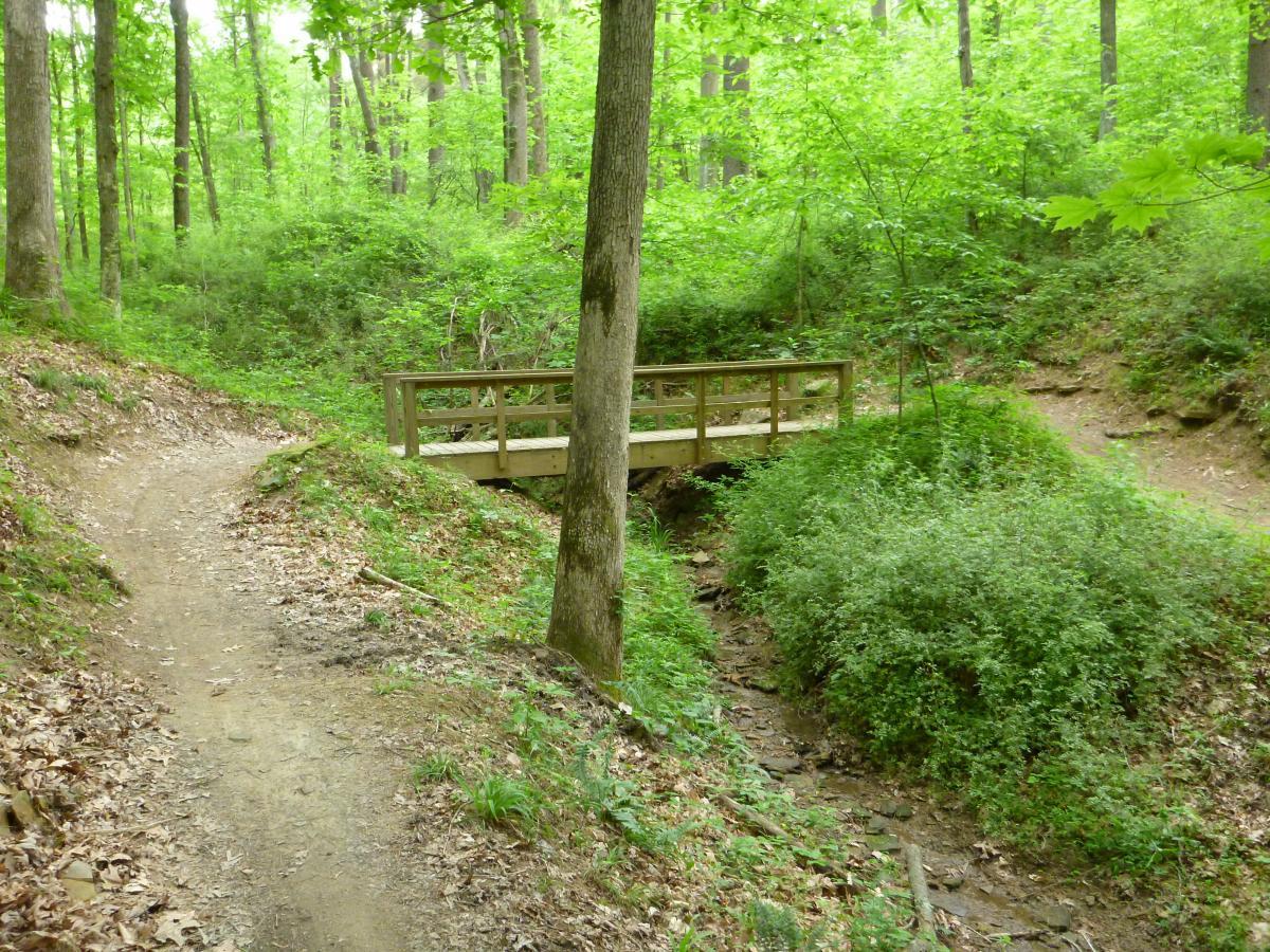 A wooden footbridge crosses a small creek in a lush, green forest. Two dirt paths diverge on either side of the bridge, surrounded by vibrant foliage and trees. The scene conveys a serene and natural woodland environment. Brown County Park mountain bike trail.