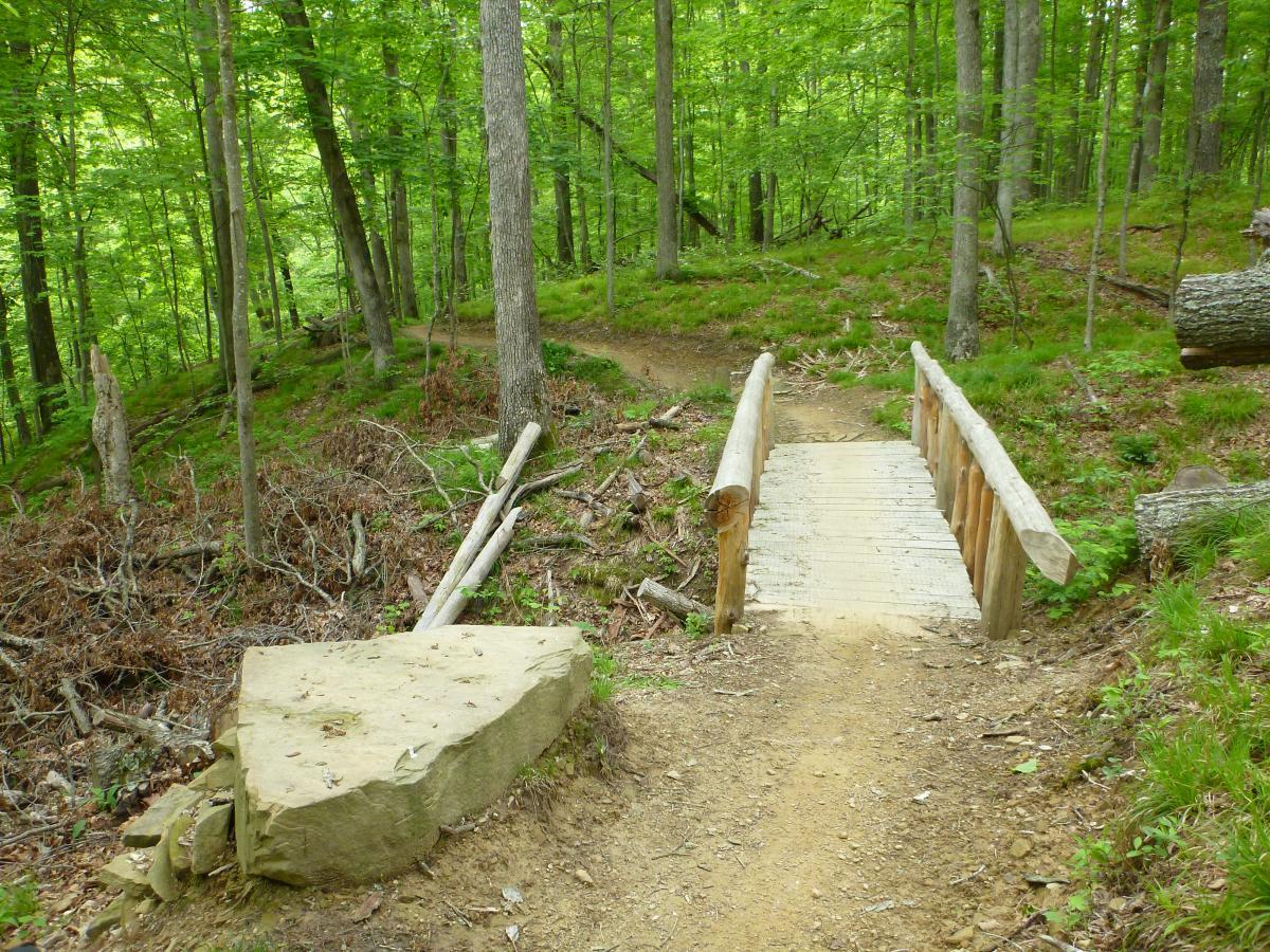 A wooden bridge crosses a small path in a lush green forest, surrounded by trees and undergrowth. The area features a mixture of well-maintained trails and natural elements, including a large rock on the left and fallen branches nearby. Brown County Park mountain bike trail.