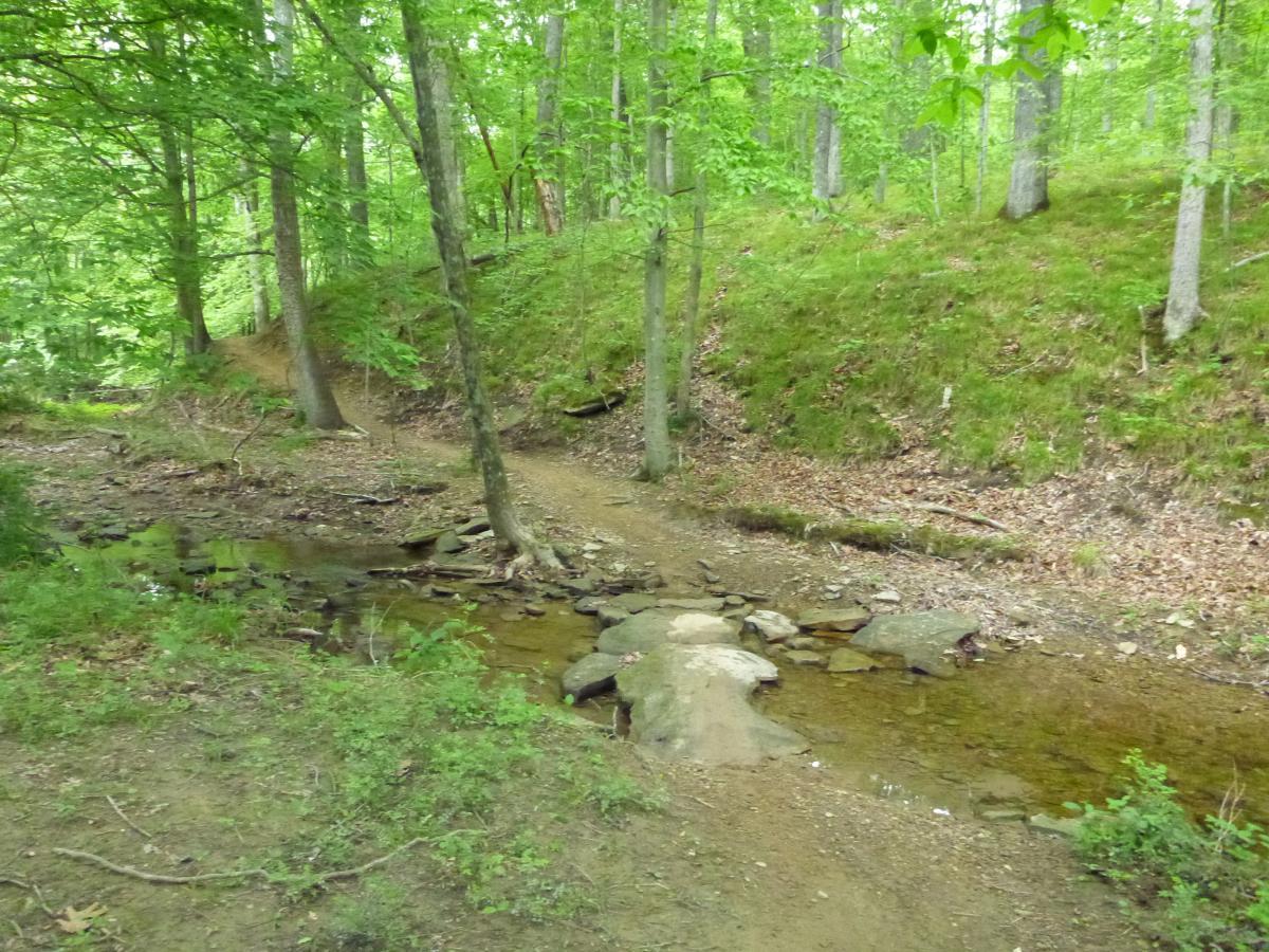 A peaceful forest scene featuring a small, shallow stream winding through a lush, green landscape. Tall trees with vibrant green foliage line the banks, and a gentle slope covered in grass and leaves rises on one side. Rocks are visible in and around the water, contributing to the natural beauty of the area. Brown County Park mountain bike trail.