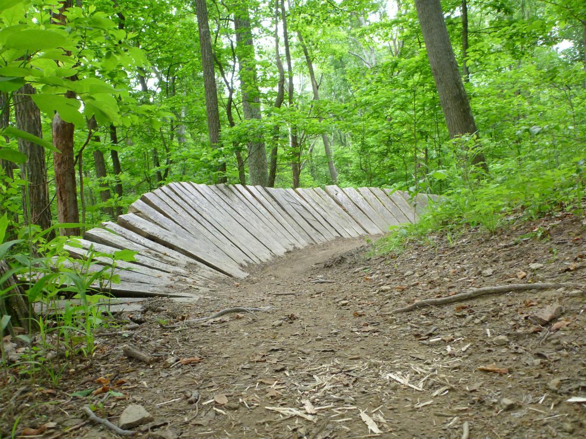 A winding wooden path in a lush green forest, featuring a series of angled wooden boards arranged along a dirt trail, surrounded by vibrant foliage and trees. Brown County Park mountain bike trail.
